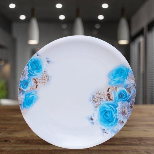 Melamine Plate For Hotels - 11 Inch, Pack Of 6 (Unbreakable)